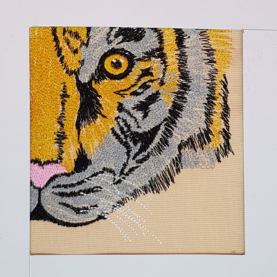 Tiger face